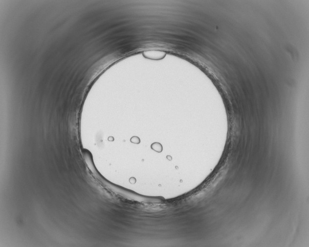 X0000110691137200907241058