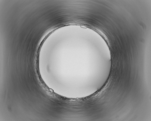 X0000110691138200907241058