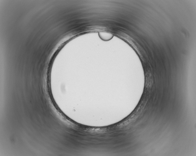 X0000110691139200907241058