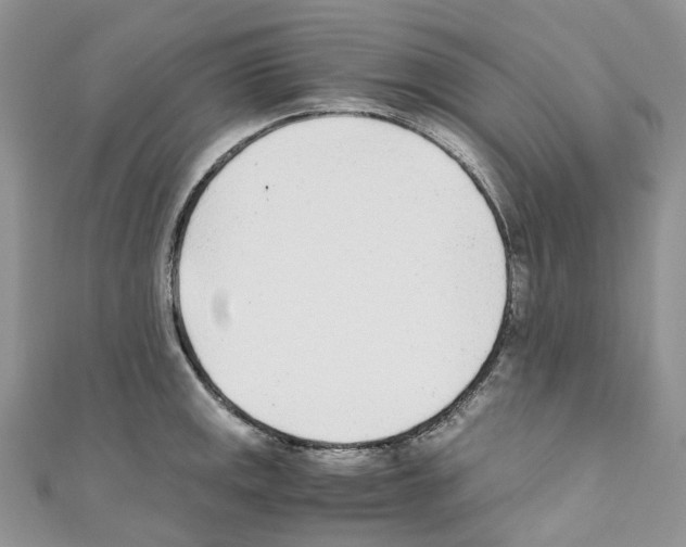 X0000110691141200907241058