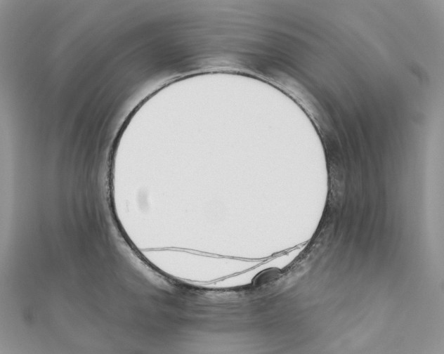 X0000110691142200907241058