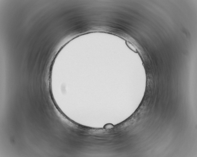 X0000110691143200907241058