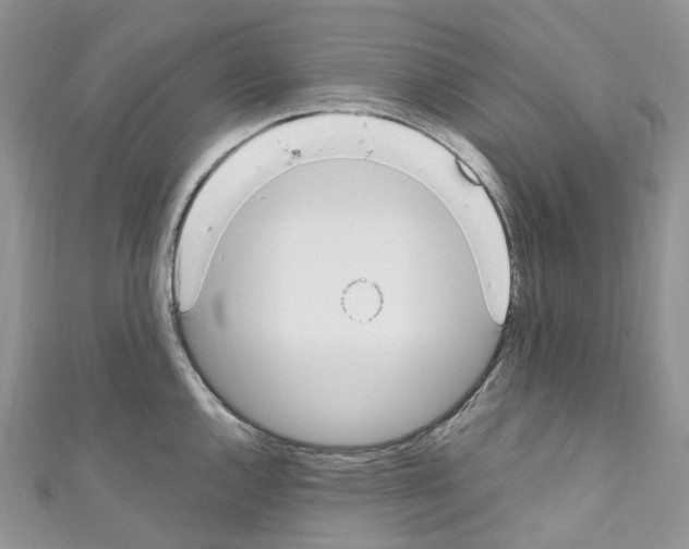 X0000110691144200907241058