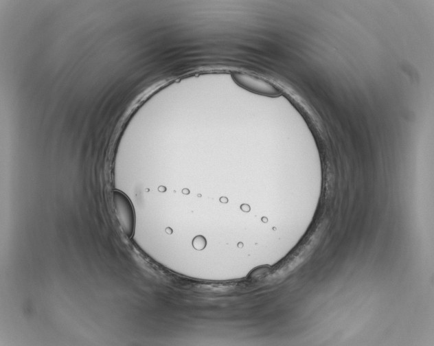 X0000110691145200907241058