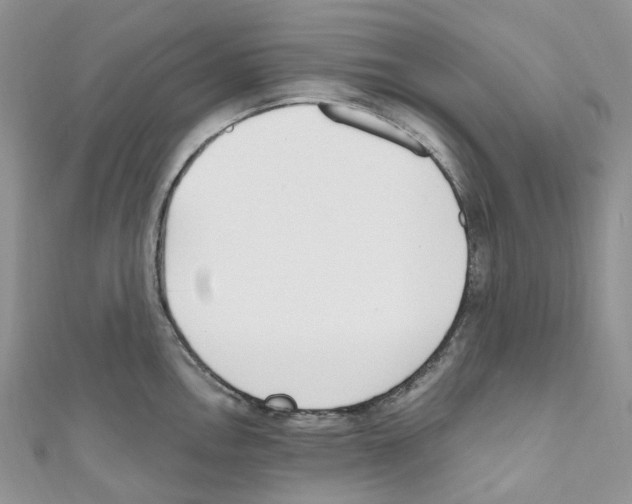 X0000110691146200907241058