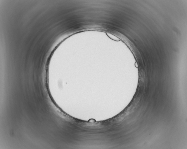 X0000110691147200907241058