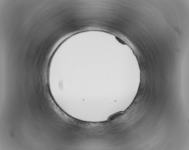 X0000110691148200907241058