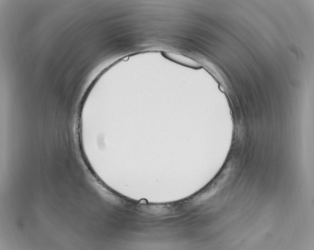 X0000110691149200907241058