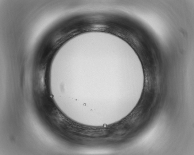 X0000110691150200907241058