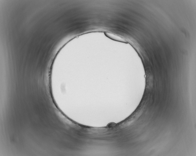 X0000110691151200907241058