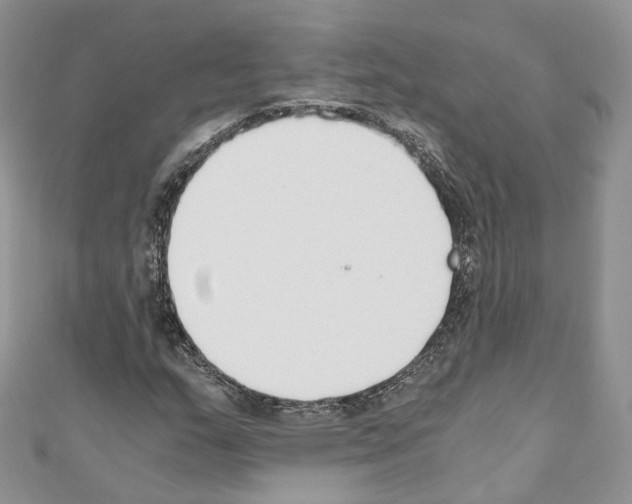 X0000110691159200907241058