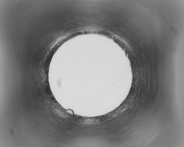 X0000110691160200907241057