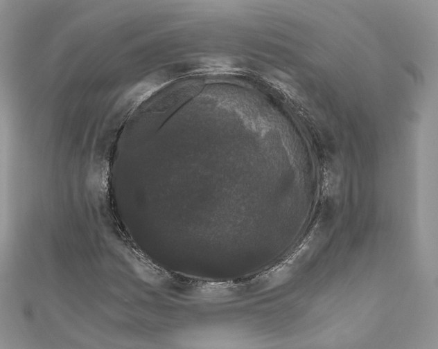 X0000110691161200907241057