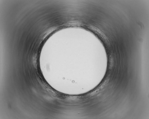 X0000110691162200907241057