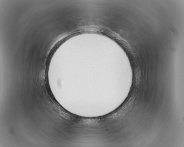 X0000110691166200907241057