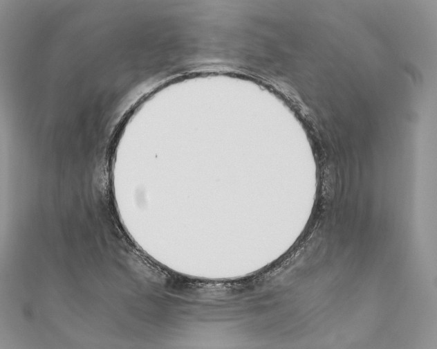 X0000110691167200907241057