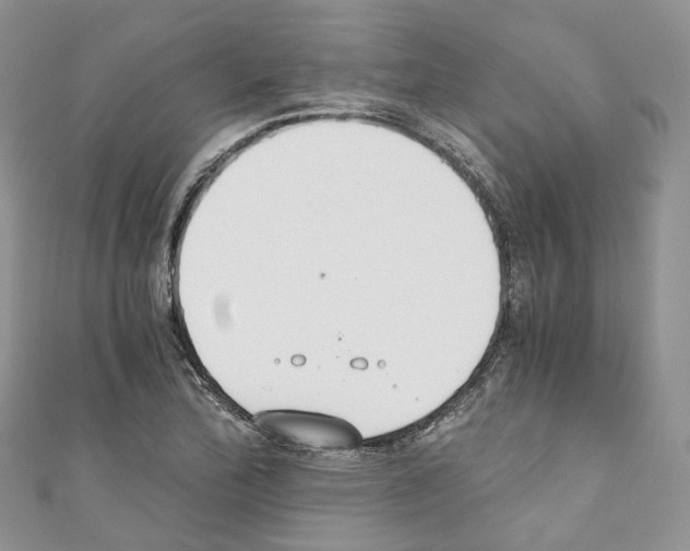 X0000110691172200907241057