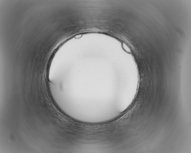 X0000110691173200907241057