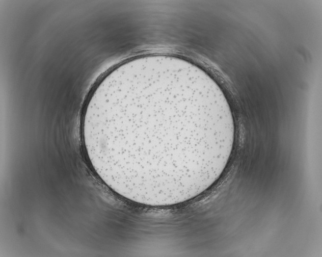 X0000110691174200907241057