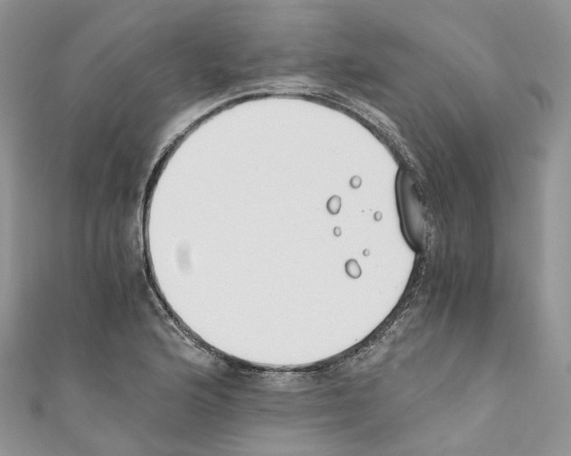 X0000110691176200907241057