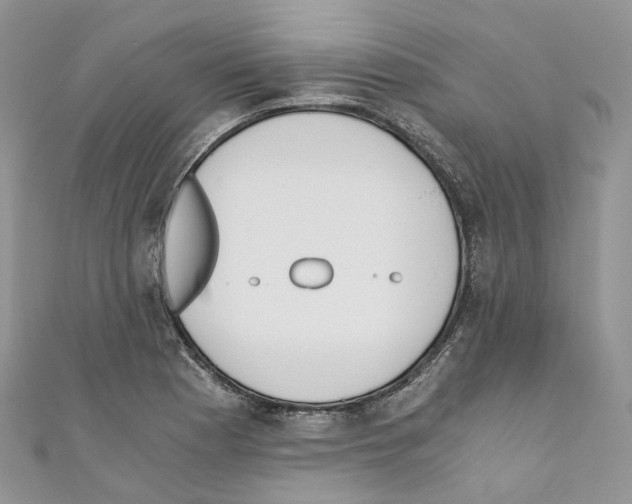 X0000110691177200907241057