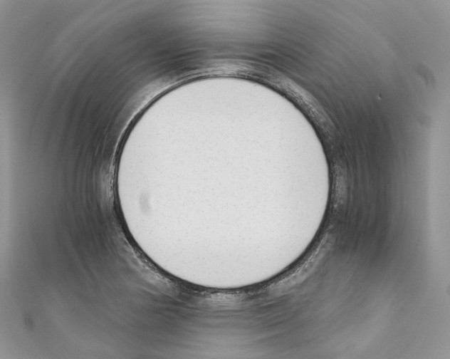 X0000110691178200907241057