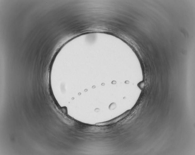 X0000110691179200907241057