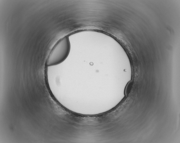 X0000110691181200907241057