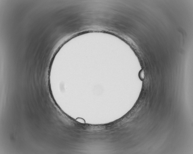 X0000110691183200907241057