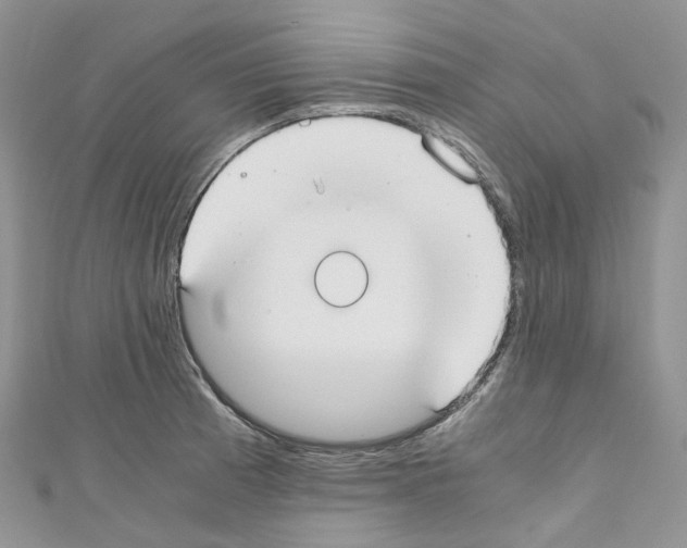 X0000110691185200907241057