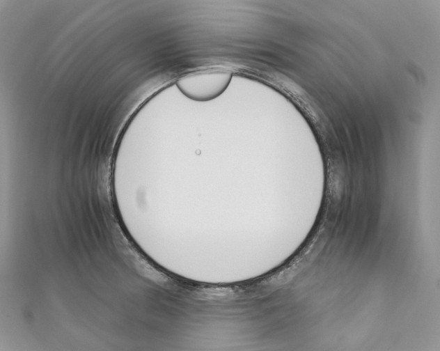 X0000110691186200907241057