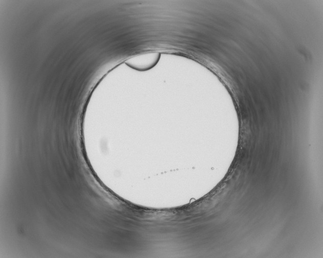 X0000110691187200907241057