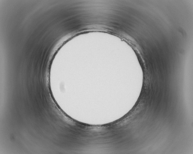 X0000110691188200907241057