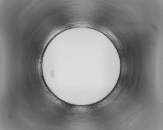 X0000110691190200907241057