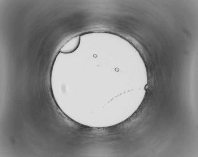 X0000110691191200907241057