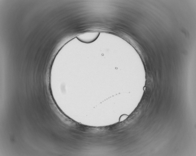 X0000110691195200907241057