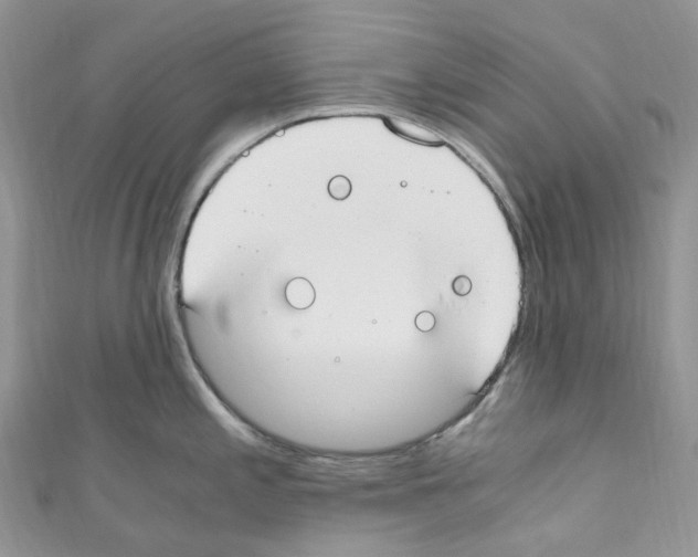 X0000110691197200907241057