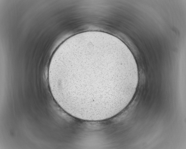 X0000110691198200907241057