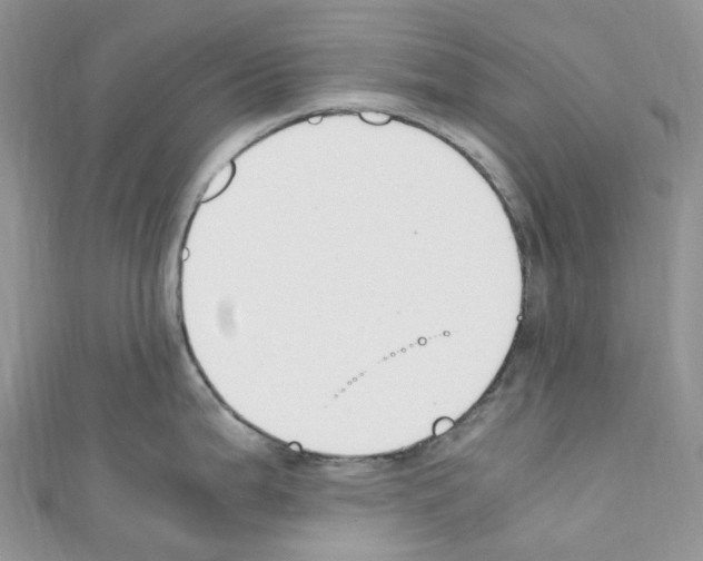 X0000110691199200907241057