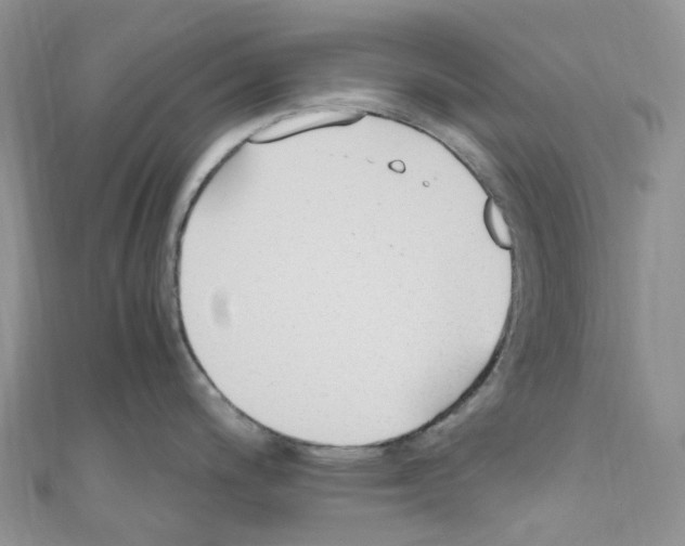 X0000110691200200907241057