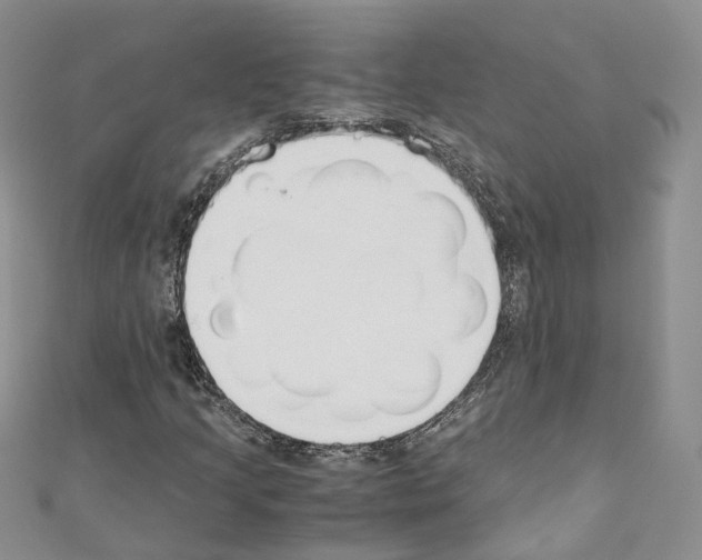 X0000110691205200907241056