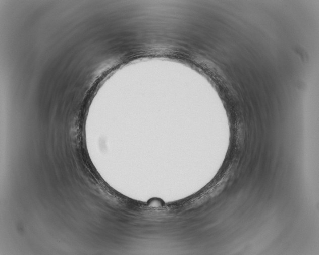 X0000110691210200907241056