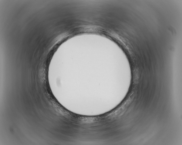 X0000110691211200907241056