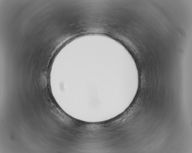 X0000110691212200907241056