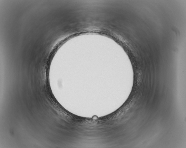 X0000110691214200907241056