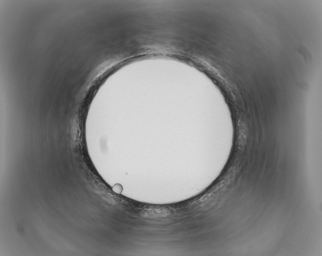 X0000110691215200907241056