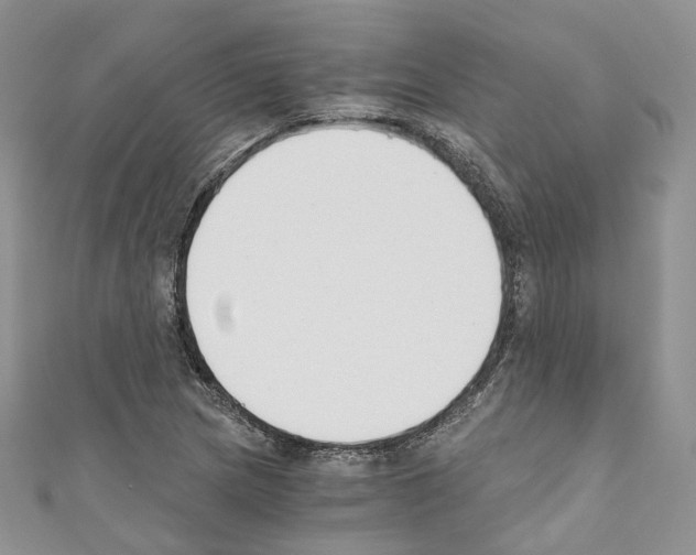 X0000110691217200907241057