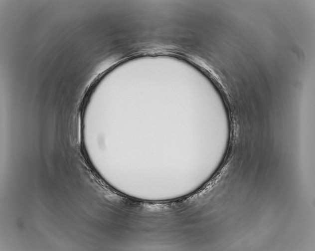 X0000110691219200907241057