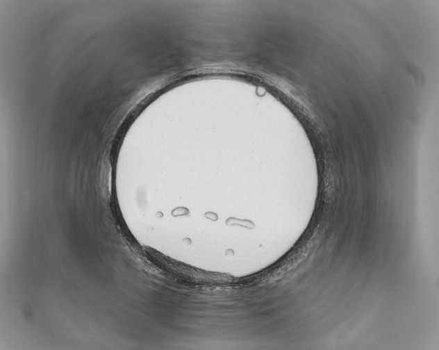 X0000110691221200907241057