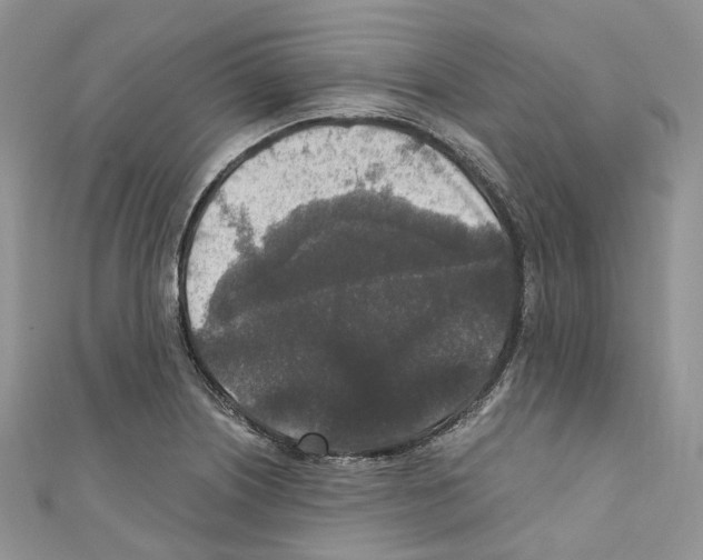 X0000110691226200907241057